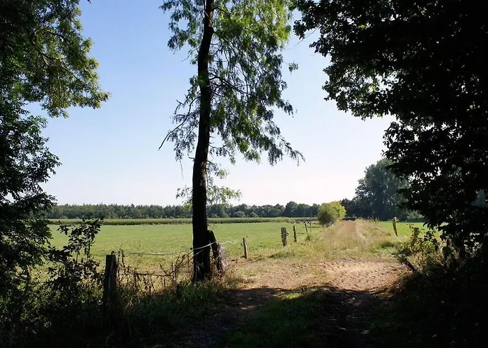 Majestic In * Westerstede