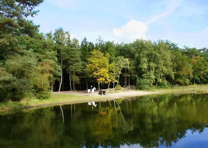 Apartamento Majestic In