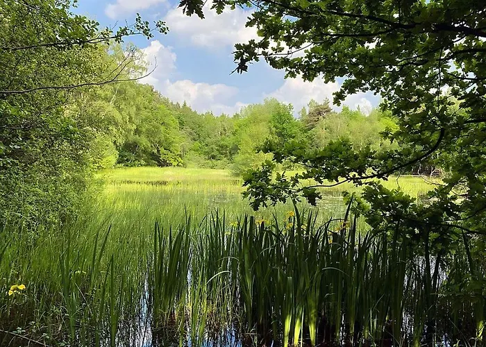 Majestic In Apartamento *